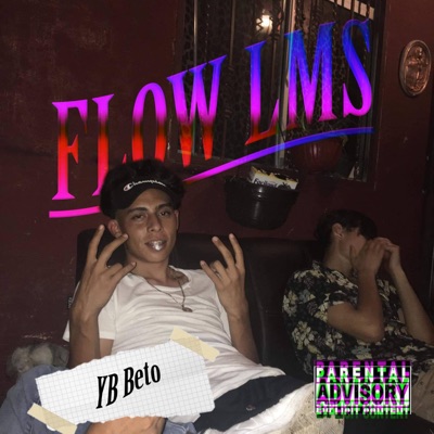 Flow LMS - Single