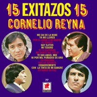 Ni Por Mil Puñados De Oro