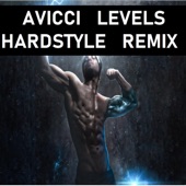 Avicii Levels (HARDSTYLE REMIXX) artwork
