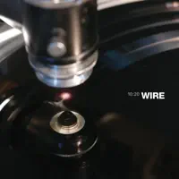 German Shepherds — Wire