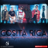 Cosita Rica artwork