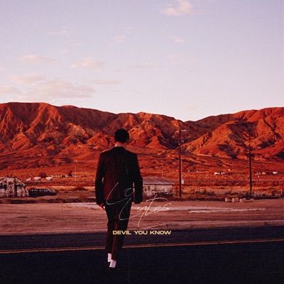 Devil You Know - Single