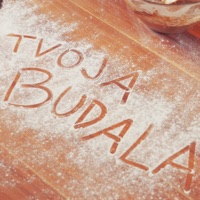 TVOJA BUDALA