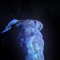 TRUNKS (feat. bloominous, JRjoos, kendeji, D. Rew, kuri ken, dominic & mifye) - Single - HHC