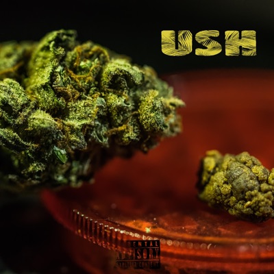 Ush (feat. Wespino, Rein de Rio & Drop) - Single