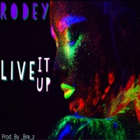Live It Up - Single - Rodey Cali’s Remedy