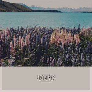Promises - Single