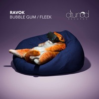 Bubble Gum / Fleek - Single - Ravok