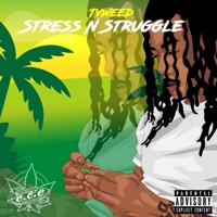 Stress N Struggle - TyWeed