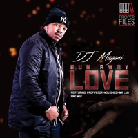 Run Away Love (feat. Professor, MSK, Ndu Shezi & Mr Luu) - Single - DJ Mngani