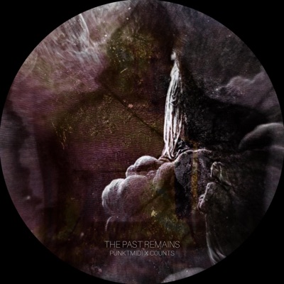 The Past Remains - Single