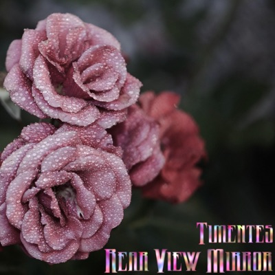 Rear View Mirror - Single