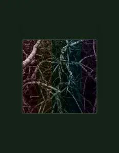 Psykenを聴いたり、ミュージックビデオを鑑賞したり、経歴やツアー日程などを確認したりしましょう！