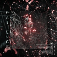 Patience - Single - Levit∆te