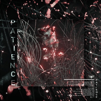 Patience - Single