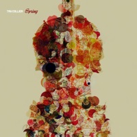 Spring - Single - Tay Collier