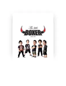 Listen to Boxer, watch music videos, read bio, see tour dates & more!