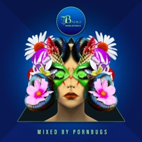 Deep Value, Vol. 4 (Mixed by Pornbugs) - Pornbugs