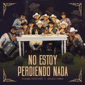 No Estoy Perdiendo Nada artwork