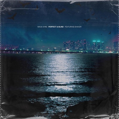 Perfect & Blind (feat. Shaker) - Single