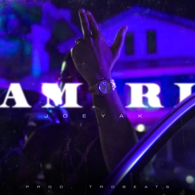 Amiri - Single