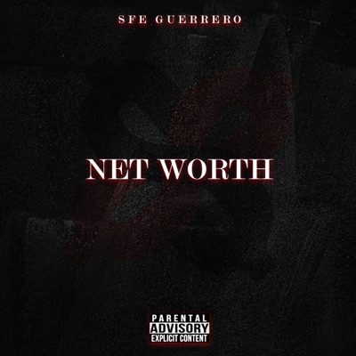 Net Worth - Single