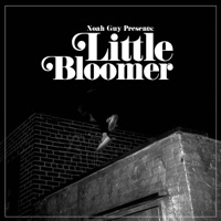 Little Bloomer - Single - Noah Guy