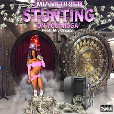 Stunning on You Nigga (feat. Mr. Crizpy) - Single