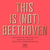 This Is (Not) Beethoven artwork