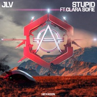 Stupid (feat. Clara Sofie) - Single - JLV