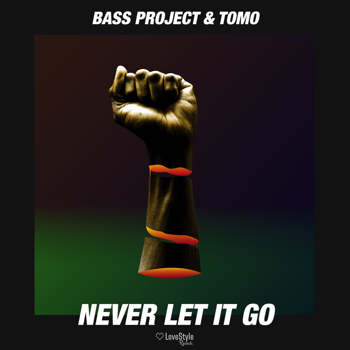 Bass project