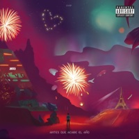 ANTES QUE ACABE EL AÑO - EP - EVOP