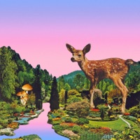 Album cover for Bruce Springsteen by Strawberry Mountain