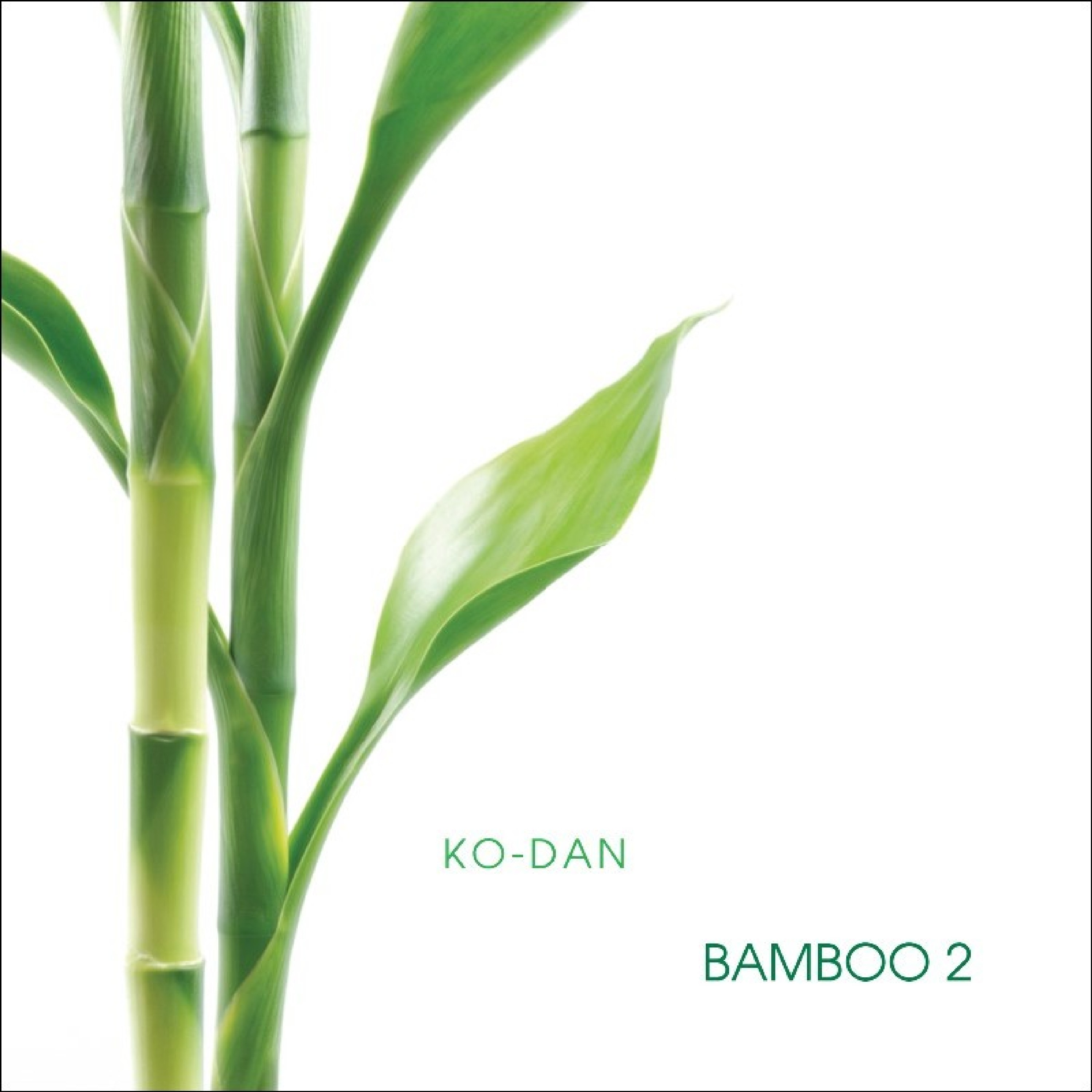 Bamboo Two, 2015