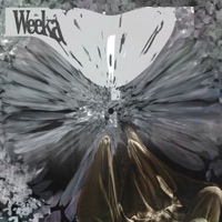 Crying - Single - Weeka