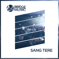 Bridge Music - Sang Tere artwork
