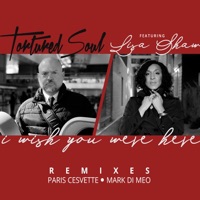 Tortured Soul - I Wish You Were Here (feat. Lisa Shaw) [Mark Di Meo Remix]