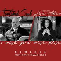 I Wish You Were Here (feat. Lisa Shaw) [Mark Di Meo Remix]