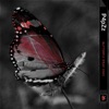 P4pZz - Butterfly