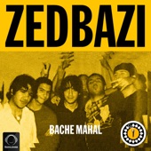 Bache Mahal artwork