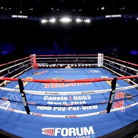 The Best Ever Warrendeezy