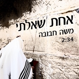 אחת שאלתי משה מרסלו חבובה