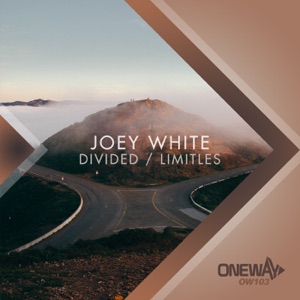 Divided / Limitless - Single