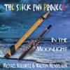 The Stick EWI Project: In the Moonlight, 2020