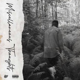 Miscellaneous Thoughts Nvthy