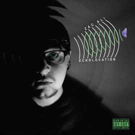 Echolocation Zac Ali