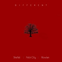 Different (feat. Shefali & Rowlan) - Single - Nick City