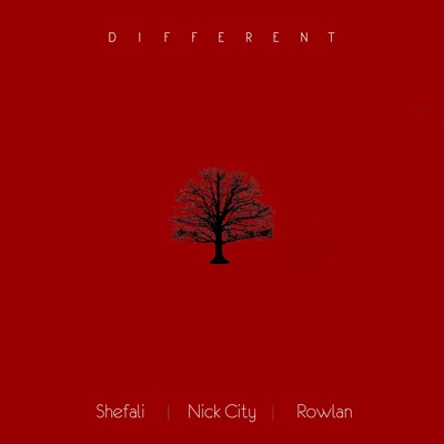Different (feat. Shefali & Rowlan) - Single