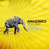 You Get What You Give - Amazonics
