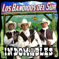 Solo Te Quiero a Ti _ Dónde Estarás _ Ya No Puedo Más _ Vuelve a Mi Otra Vez (Mix Temerarios)